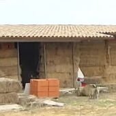 Un hombre construye una casa a base de paja en León