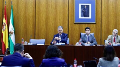 Jos&eacute; Antonio Viera en la comisi&oacute;n de la Faffe