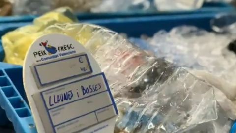  Los pescadores de Denia venden en la lonja los 6.000 kilos de pl&aacute;stico recogidos durante un a&ntilde;o para protestar contra el cambio clim&aacute;tico