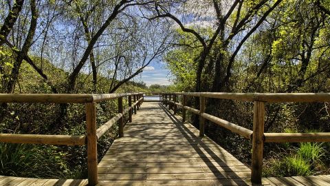 Parque Nacional de Do&ntilde;ana, Huelva