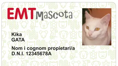 Nueva tarjeta "EMT Mascostas" Nueva tarjeta "EMT Mascostas"
