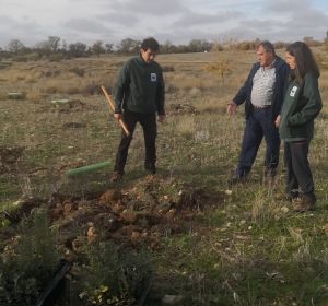 En Las Tablas de Daimiel se han realizado 120 nuevas plantaciones En Las Tablas de Daimiel se han realizado 120 nuevas plantaciones