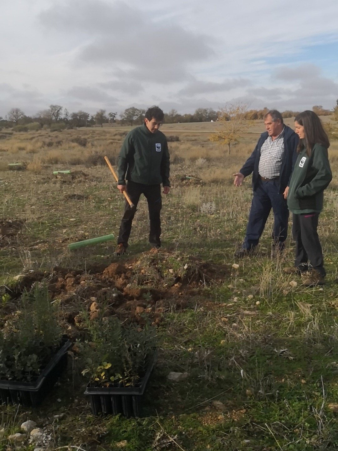 WWF realiza 120 nuevas plantaciones en Las Tablas de Daimiel WWF realiza 120 nuevas plantaciones en Las Tablas de Daimiel