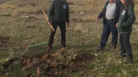 En Las Tablas de Daimiel se han realizado 120 nuevas plantaciones En Las Tablas de Daimiel se han realizado 120 nuevas plantaciones