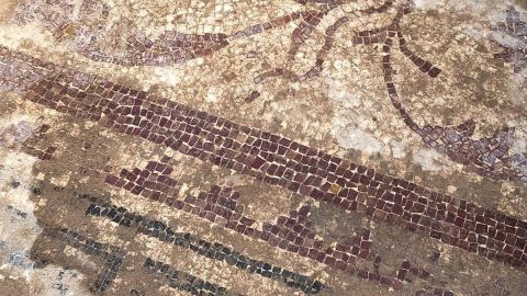 Mosaicos del apodyterium de las termas del Zahorra, en la ciudad de Valeria