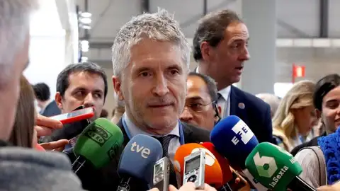 El ministro del Interior en funciones, Fernando Grande-Marlaska El ministro del Interior en funciones, Fernando Grande-Marlaska