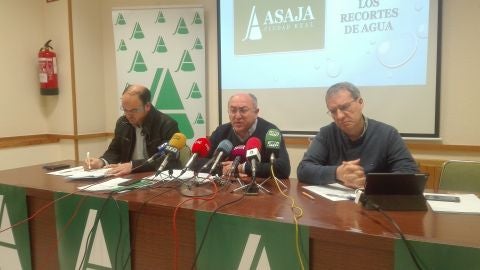 Alcolea, Rodr&iacute;guez y Miranda, durante la rueda de prensa