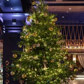 El árbol de Navidad más caro del mundo El árbol de Navidad más caro del mundo