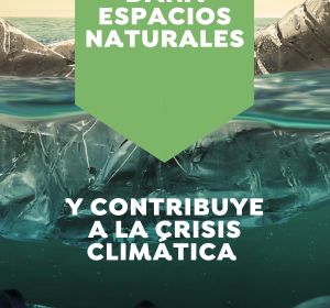 Los daños de los plásticos Los daños de los plásticos