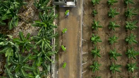 La agricultura sostenible, un modelo que respeta nuestro planeta