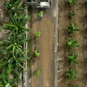 La agricultura sostenible, un modelo que respeta nuestro planeta La agricultura sostenible, un modelo que respeta nuestro planeta