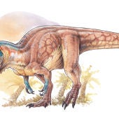 Hallan uno de los mas antiguos y completos dinosaurios carnivoros del Jurasico