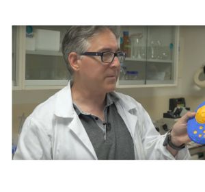 El investigador Luis Miguel Gutiérrez de la UMH de Elche. El investigador Luis Miguel Gutiérrez de la UMH de Elche.