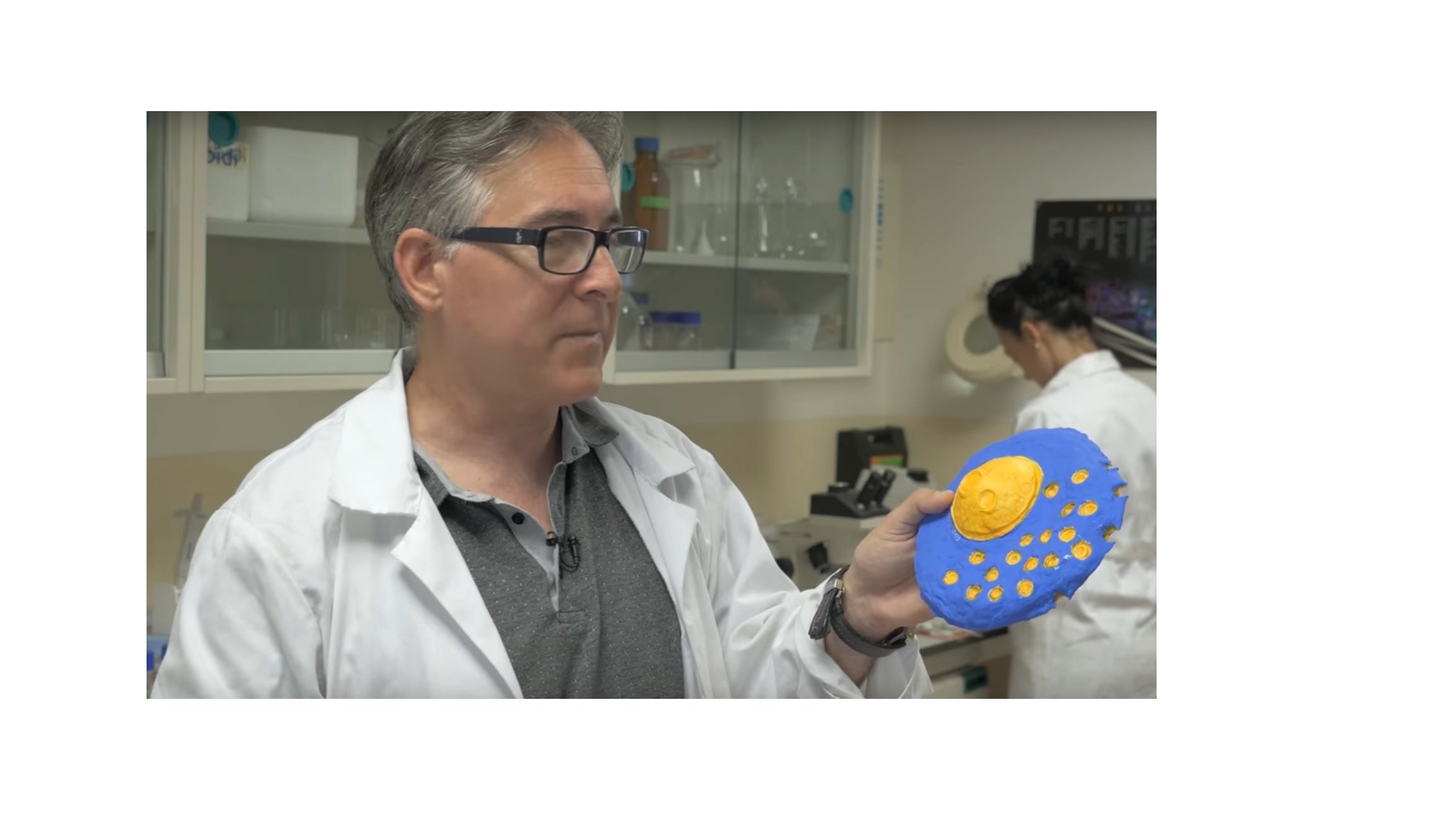 Científicos de la UMH de Elche descubren que un fármaco para la esclerosis múltiple puede matar células tumorales de origen neural Científicos de la UMH de Elche descubren que un fármaco para la esclerosis múltiple puede matar células tumorales de origen neural