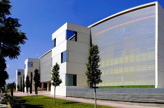 El Instituto de Neurociencias de la UMH de Elche avanza en el desarrollo precoz del Parkinson con un análisis de sangre El Instituto de Neurociencias de la UMH de Elche avanza en el desarrollo precoz del Parkinson con un análisis de sangre