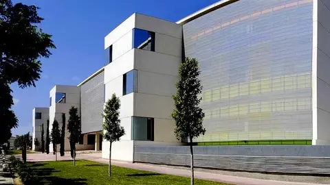 Instituto de Neurociencias de la UMH de Elche.