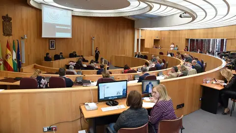 Diputación de Granada Pleno Diputación