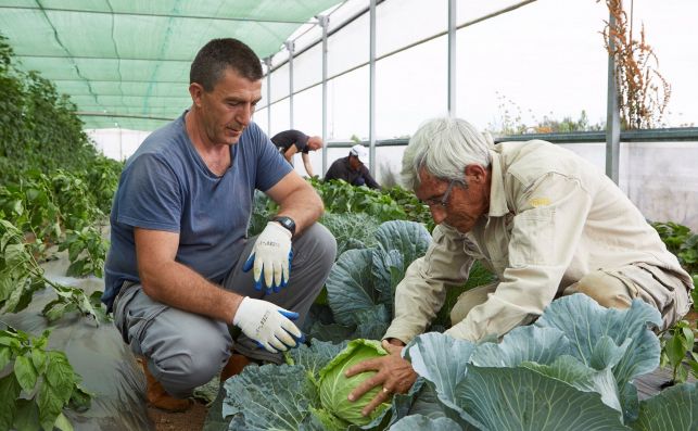 Extremadura lideró el gasto en Servicios Sociales por habitante y por año y porcentaje sobre PIB Extremadura lideró el gasto en Servicios Sociales por habitante y por año y porcentaje sobre PIB