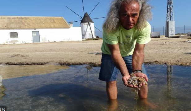 Anse y Ecologistas en Acción consideran que el gobierno regional se burla del CARMA Anse y Ecologistas en Acción consideran que el gobierno regional se burla del CARMA