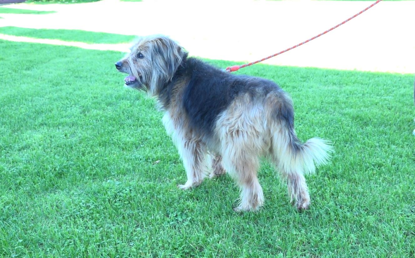 Más de uno Alcalá 22/01/2020 Más de uno Alcalá 22/01/2020