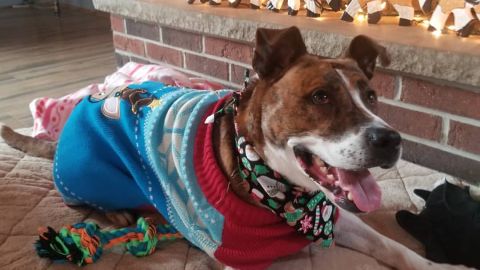 "Un hogar justo por Navidad"