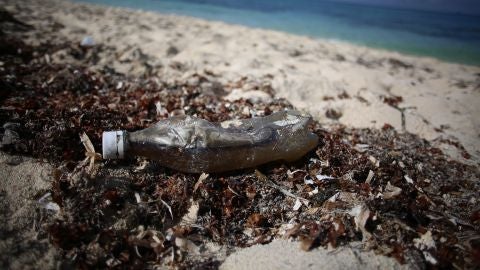Desechos pl&aacute;sticos en una playa del Caribe mexicano