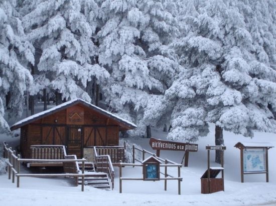 Ángel González, Director Gerente de la Estación la Pinilla Ángel González, Director Gerente de la Estación la Pinilla