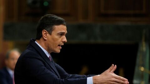 Pedro S&aacute;nchez en el Congreso