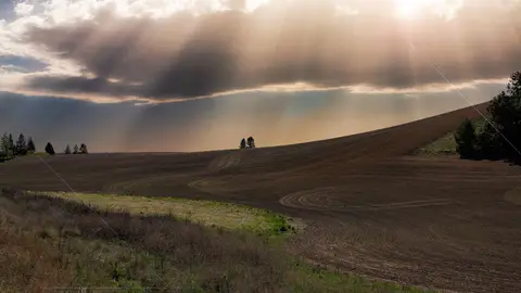 La fotosintesis del suelo ayuda a mitigar la contaminacion ambiental La fotosintesis del suelo ayuda a mitigar la contaminacion ambiental