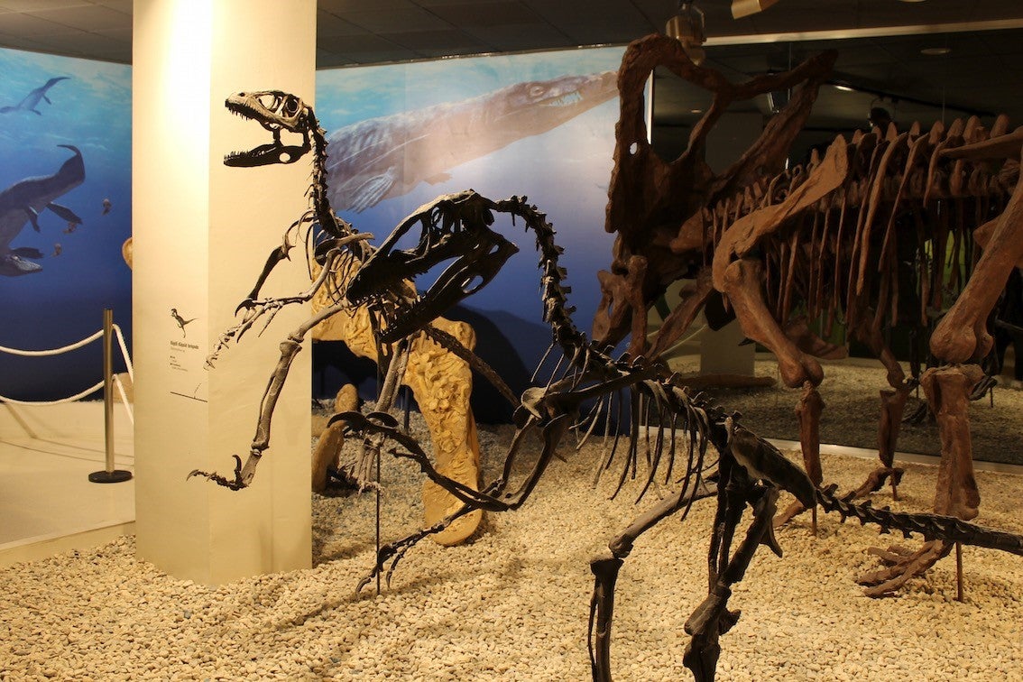 El MUPE reanudará en noviembre las visitas guiadas El MUPE reanudará en noviembre las visitas guiadas