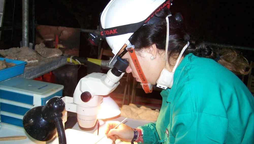 Sala de investigación del Museo Paleontológico de Elche. Sala de investigación del Museo Paleontológico de Elche.