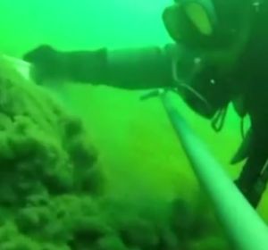 Un buzo en el Mar Menor en la conocida como 'sopa verde' Un buzo en el Mar Menor en la conocida como 'sopa verde'