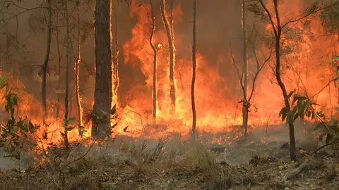 Australia durante los incendios de 2010 Australia durante los incendios de 2010