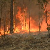 Australia durante los incendios de 2010