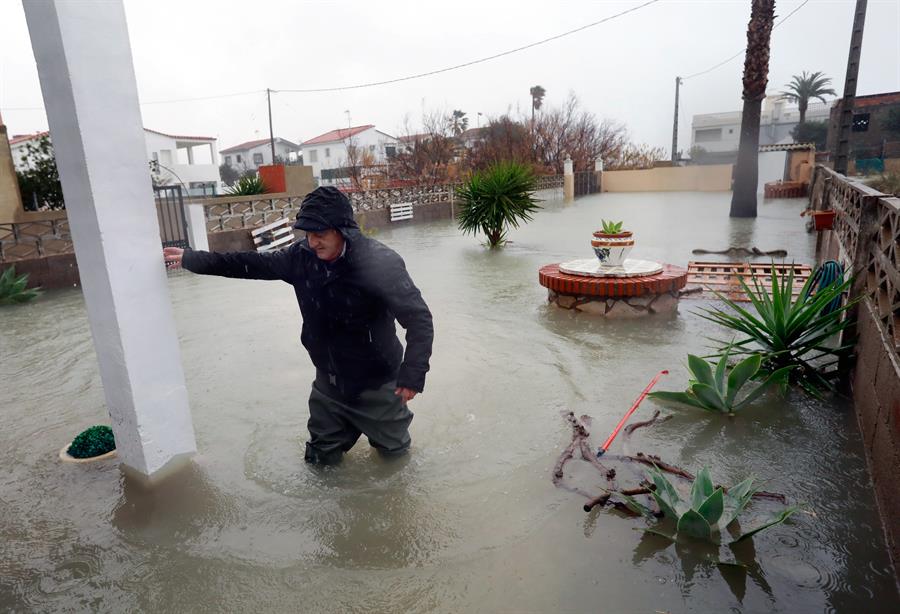La Brújula de la economía: Las pérdidas tras la borrasca Gloria La Brújula de la economía: Las pérdidas tras la borrasca Gloria
