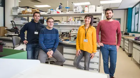 La UJI lidera un proyecto europeo para conseguir mejores materiales termoeléctricos que conviertan calor residual en electricidad .