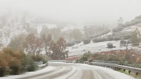 Gloria sigue dejando estampas blancas en la provincia de Ciudad Real, como esta cerca de Puertollano Gloria sigue dejando estampas blancas en la provincia de Ciudad Real, como esta cerca de Puertollano