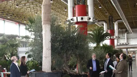 Inauguración de Viveralia 2020. Inauguración de Viveralia 2020.