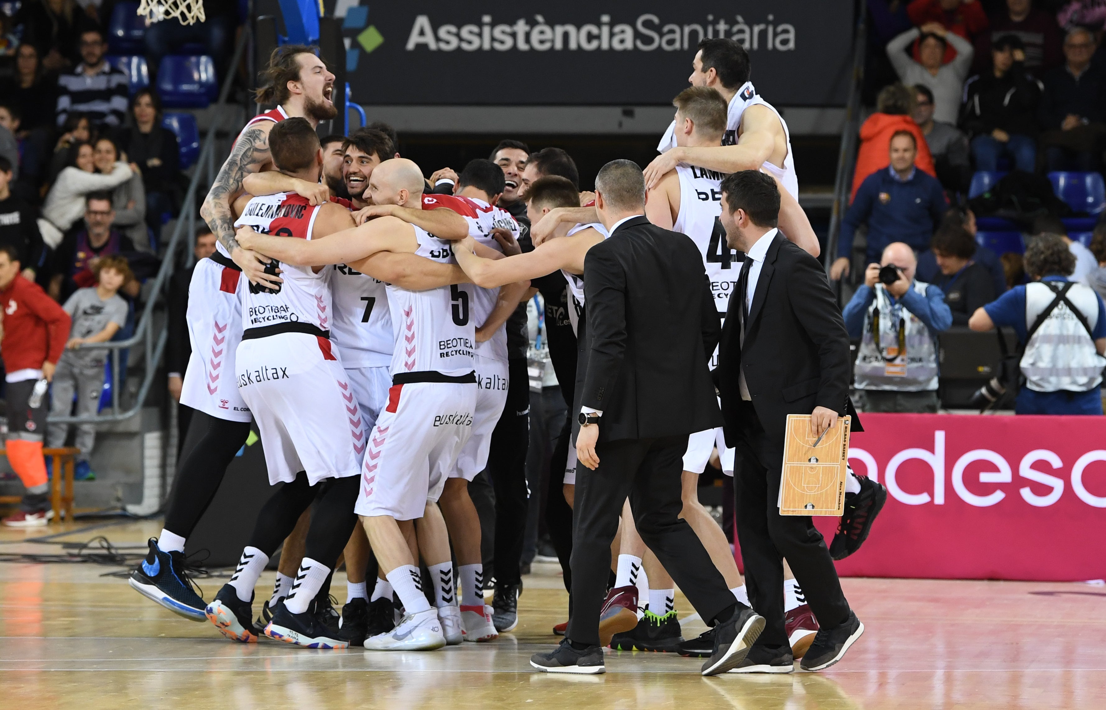 Bilbao Basket, el resurgir del Fénix Bilbao Basket, el resurgir del Fénix