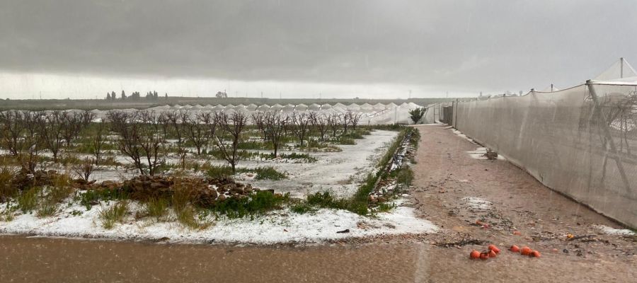 Imágenes del campo tras el temporal. Imágenes del campo tras el temporal.