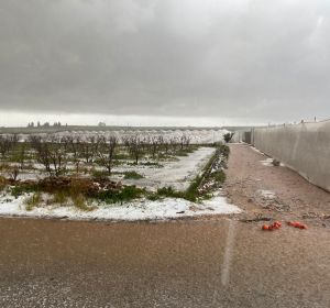 Imágenes del campo tras el temporal. Imágenes del campo tras el temporal.