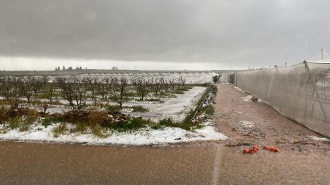 Im&aacute;genes del campo tras el temporal.