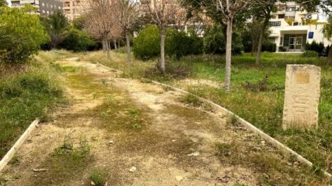 &Aacute;rea que el PP de Elche solicitado que se acondicione.