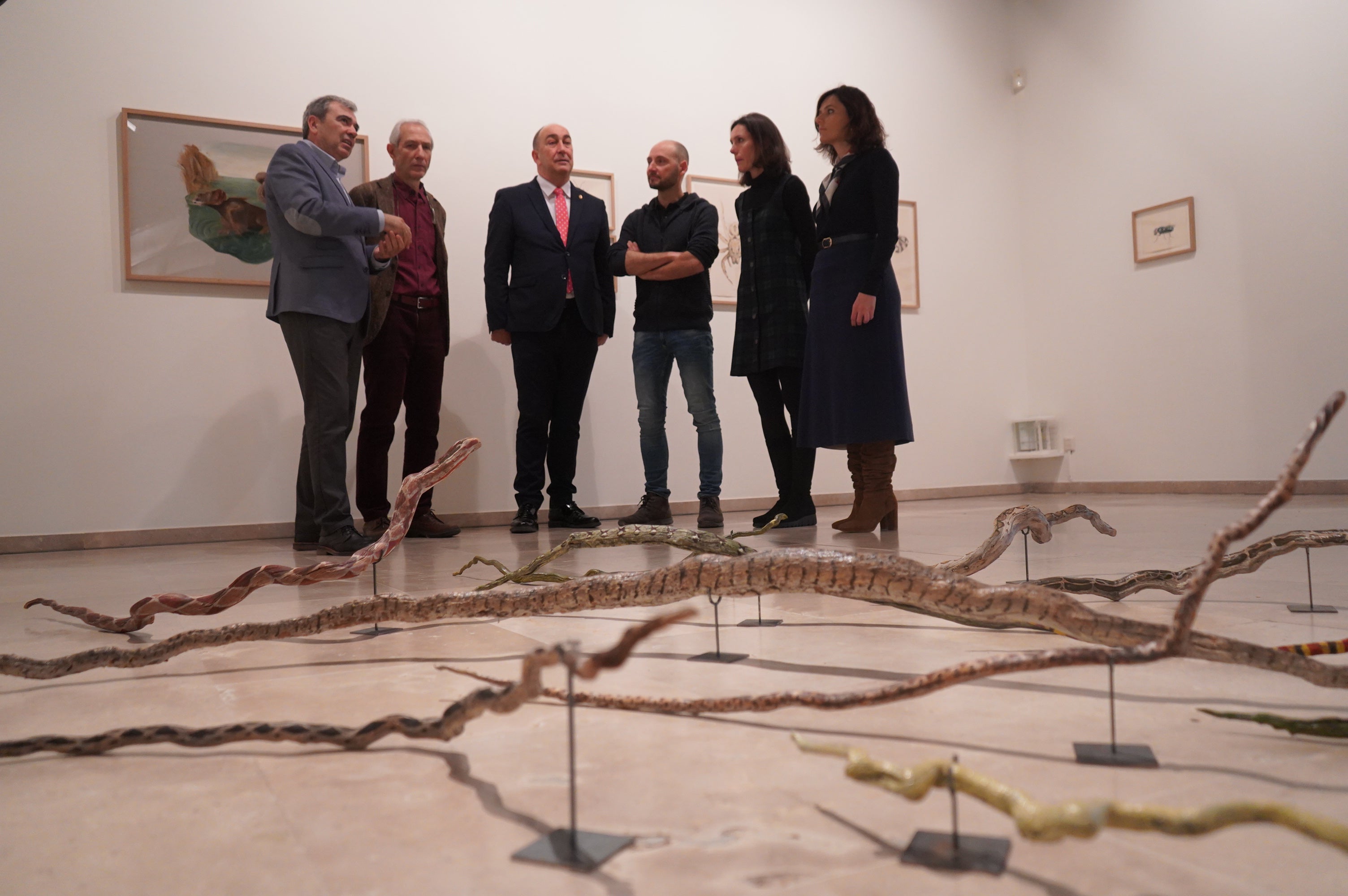 El Museo Esteban Vicente comienza una nueva etapa El Museo Esteban Vicente comienza una nueva etapa