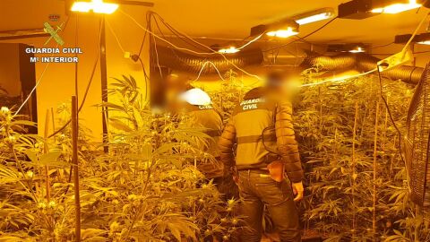 Agentes de la Guardia Civil en una de las plantaciones de marihuana desmanteladas.