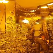 Agentes de la Guardia Civil en una de las plantaciones de marihuana desmanteladas.
