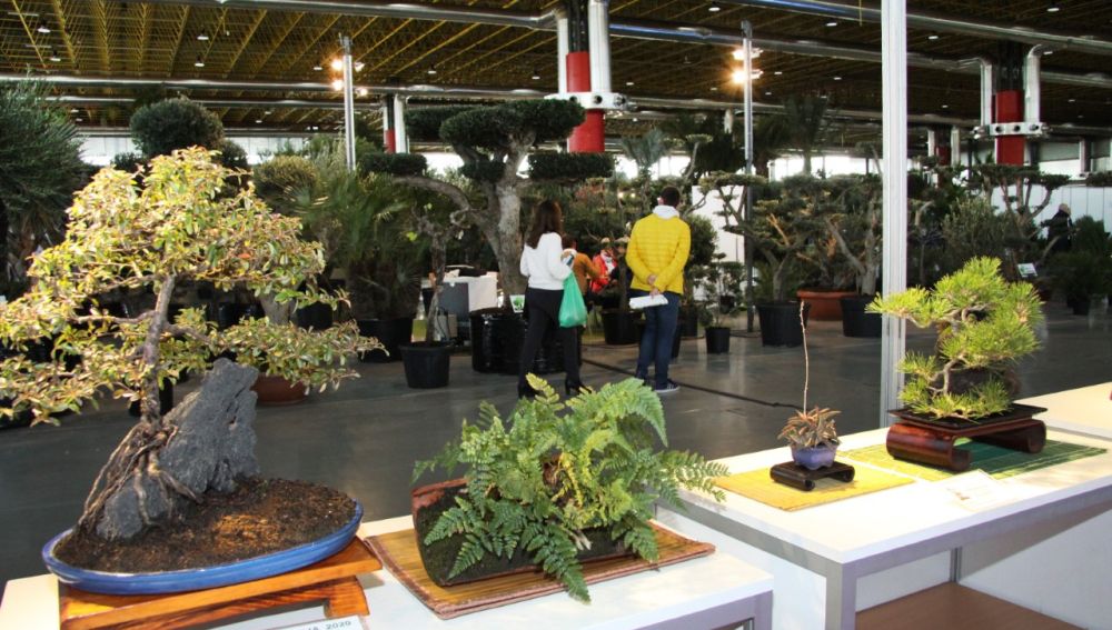 Edición de la feria Viveralia 2020.