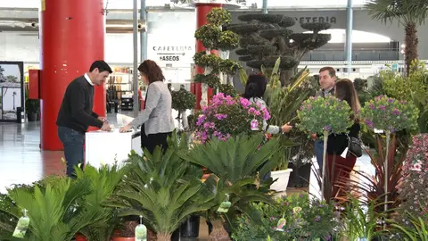 Edición de la feria Viveralia 2020. Edición de la feria Viveralia 2020.