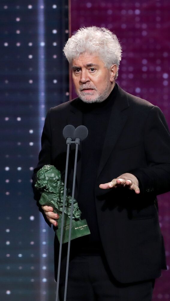 Pedro Almodóvar, Goya al mejor guión original