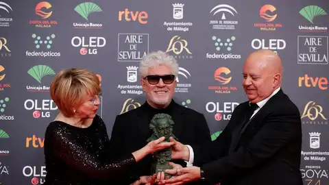 Pedro Almodóvar, gran triunfador de los Goya 2020 con 'Dolor y Gloria' Pedro Almodóvar, gran triunfador de los Goya 2020 con 'Dolor y Gloria'